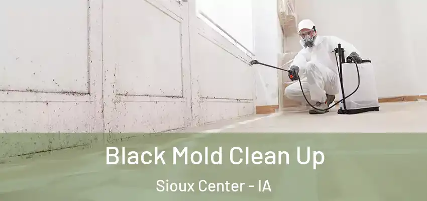  Black Mold Clean Up Sioux Center - IA