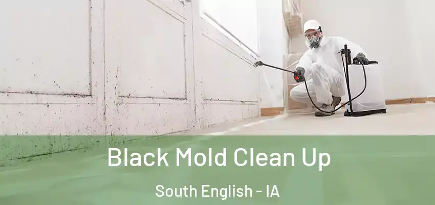Black Mold Clean Up South English - IA