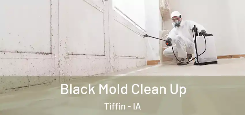  Black Mold Clean Up Tiffin - IA