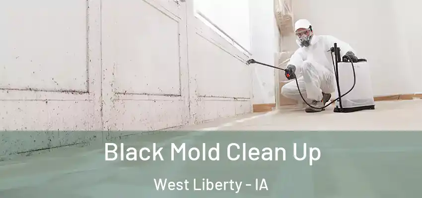  Black Mold Clean Up West Liberty - IA