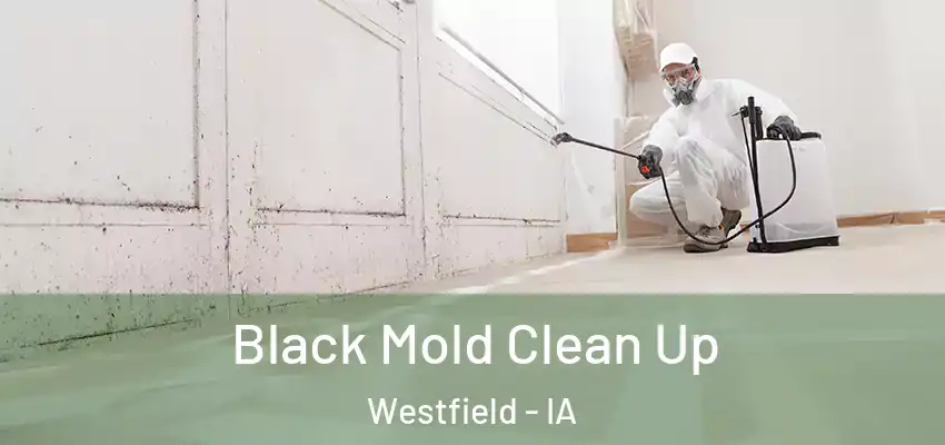  Black Mold Clean Up Westfield - IA