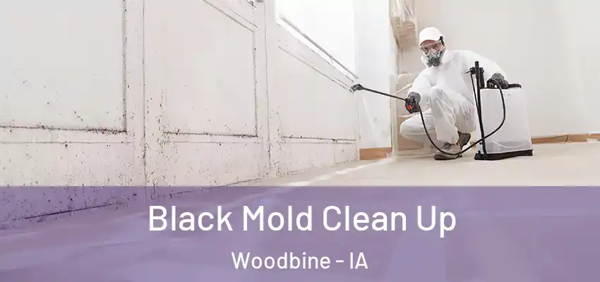  Black Mold Clean Up Woodbine - IA