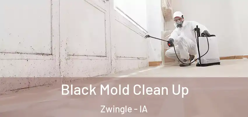Black Mold Clean Up Zwingle - IA