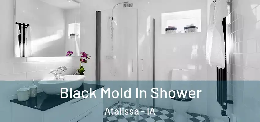  Black Mold In Shower Atalissa - IA