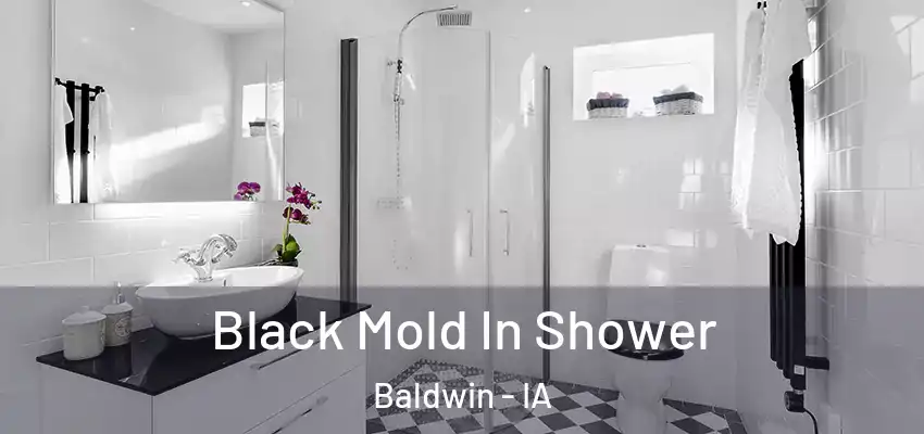 Black Mold In Shower Baldwin - IA