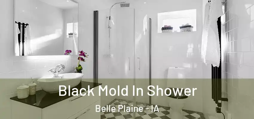  Black Mold In Shower Belle Plaine - IA