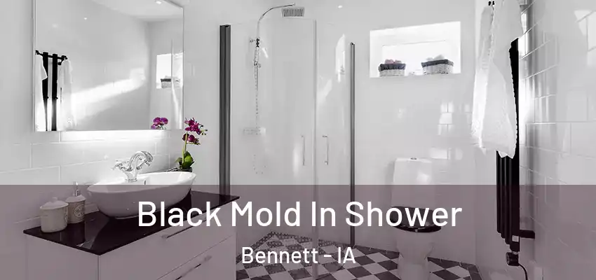 Black Mold In Shower Bennett - IA