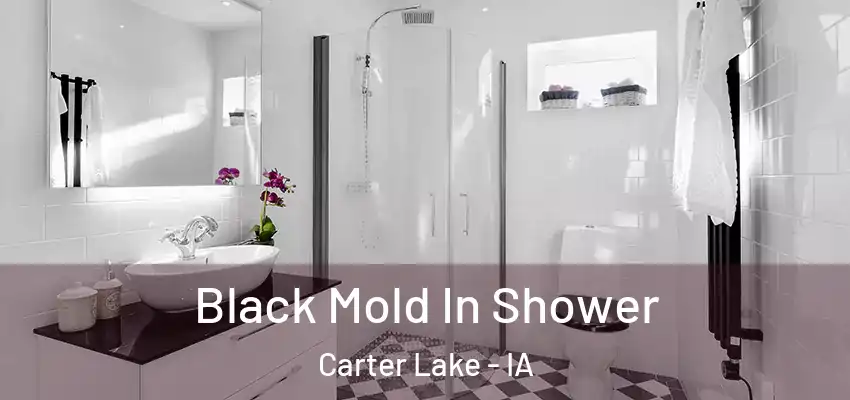  Black Mold In Shower Carter Lake - IA