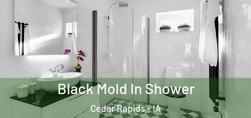  Black Mold In Shower Cedar Rapids - IA