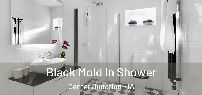 Black Mold In Shower Center Junction - IA