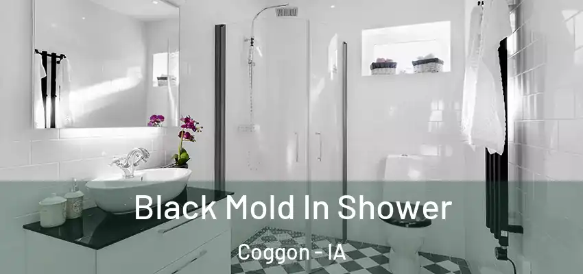  Black Mold In Shower Coggon - IA
