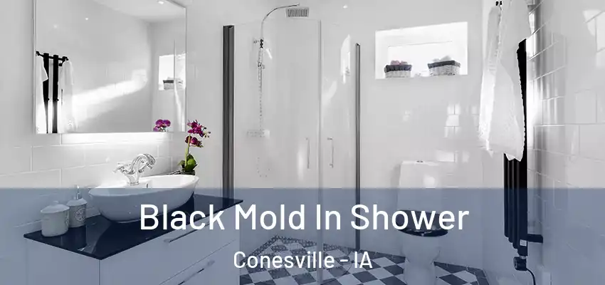  Black Mold In Shower Conesville - IA