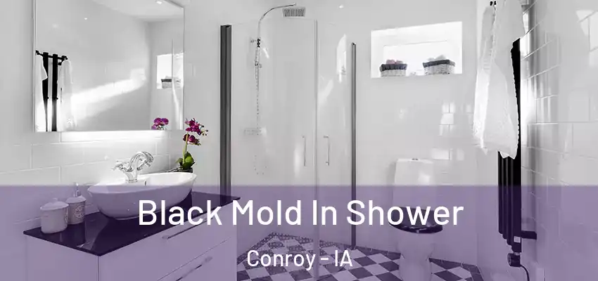  Black Mold In Shower Conroy - IA