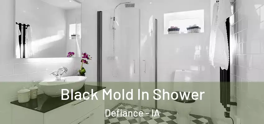 Black Mold In Shower Defiance - IA