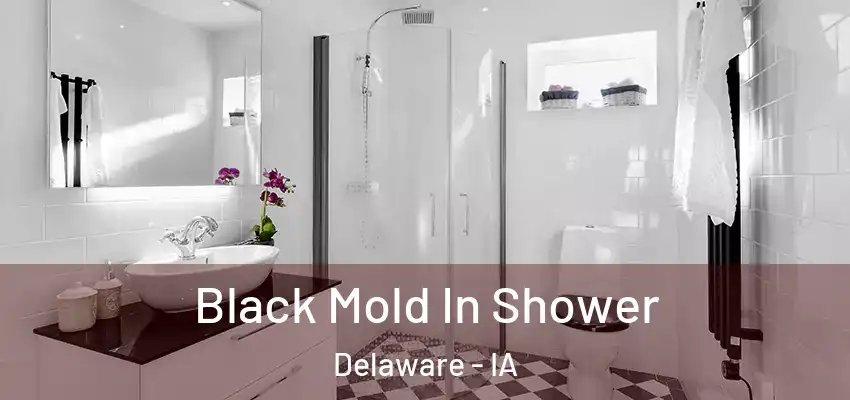  Black Mold In Shower Delaware - IA