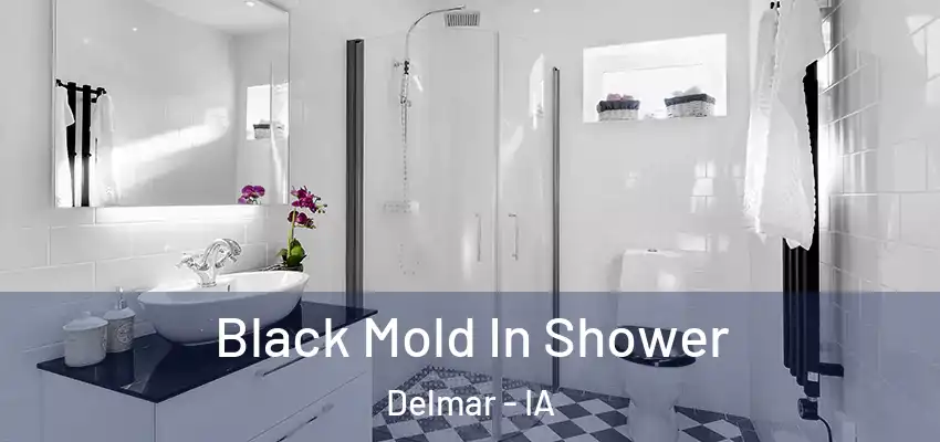 Black Mold In Shower Delmar - IA
