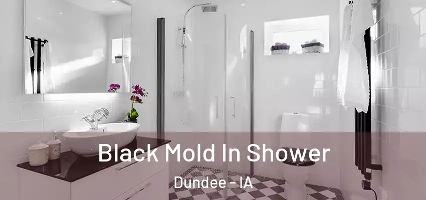  Black Mold In Shower Dundee - IA