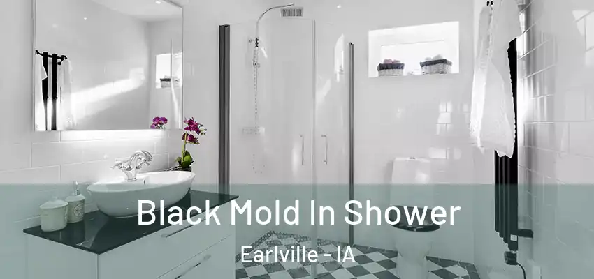 Black Mold In Shower Earlville - IA
