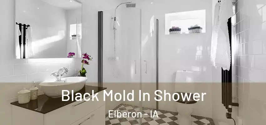 Black Mold In Shower Elberon - IA