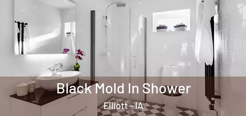  Black Mold In Shower Elliott - IA