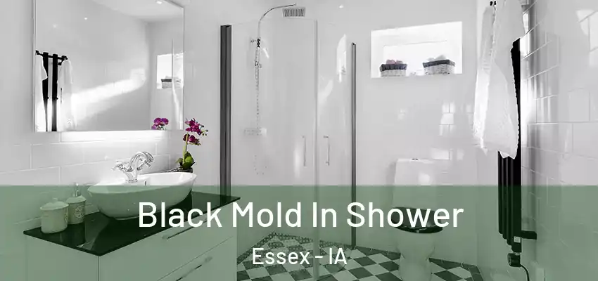 Black Mold In Shower Essex - IA