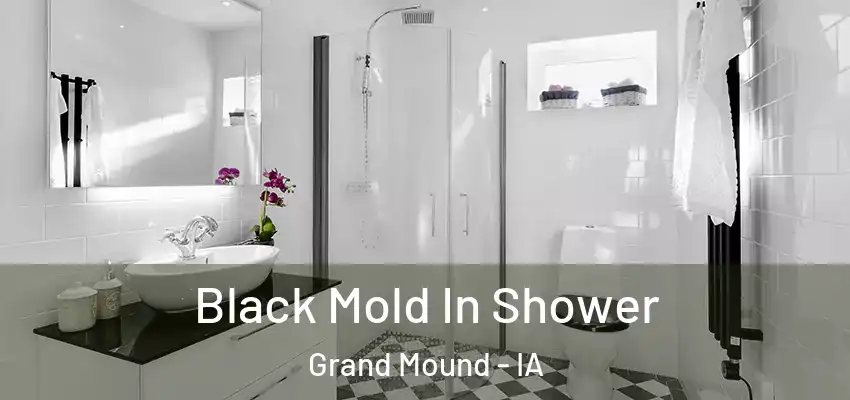 Black Mold In Shower Grand Mound - IA