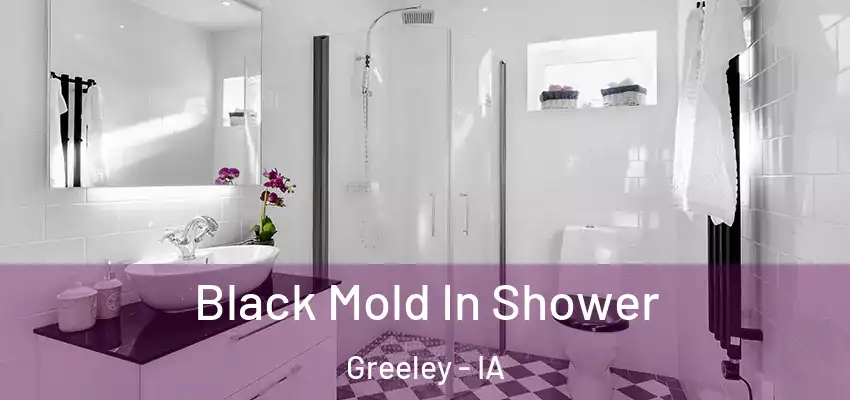  Black Mold In Shower Greeley - IA
