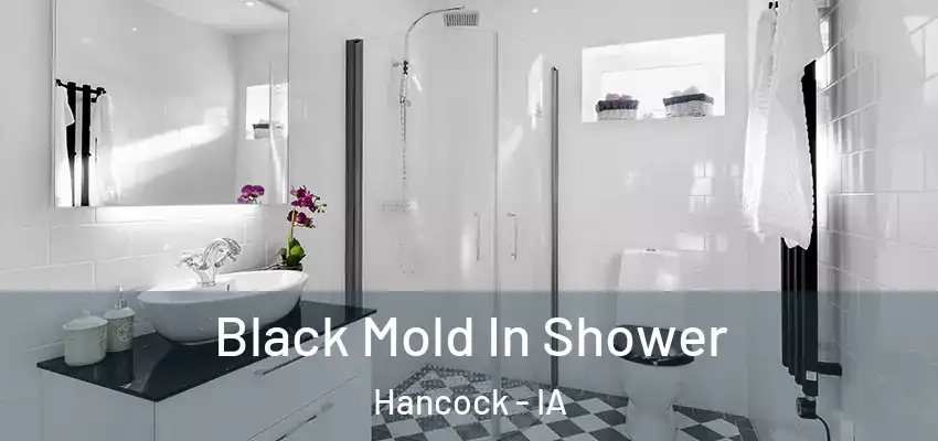  Black Mold In Shower Hancock - IA