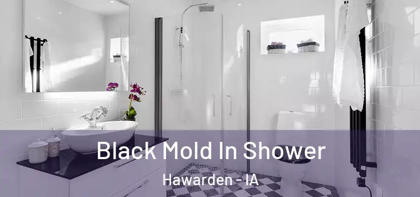  Black Mold In Shower Hawarden - IA
