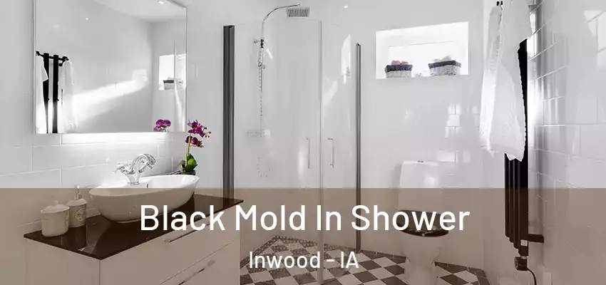 Black Mold In Shower Inwood - IA