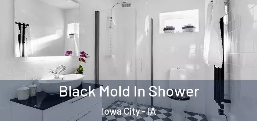 Black Mold In Shower Iowa City - IA