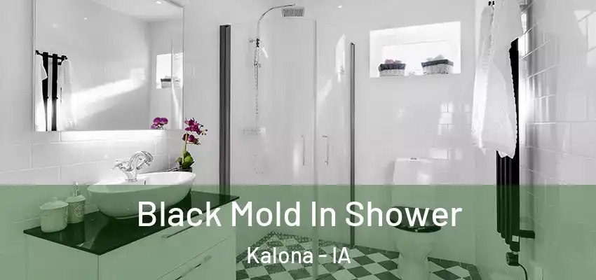 Black Mold In Shower Kalona - IA
