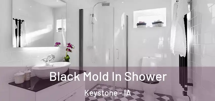  Black Mold In Shower Keystone - IA