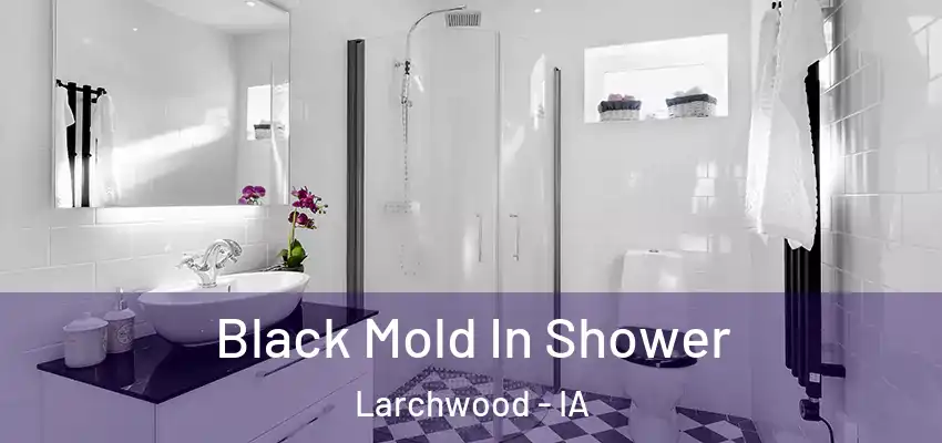 Black Mold In Shower Larchwood - IA