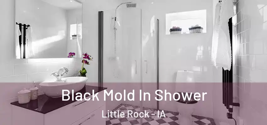 Black Mold In Shower Little Rock - IA