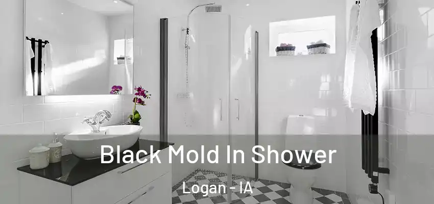 Black Mold In Shower Logan - IA