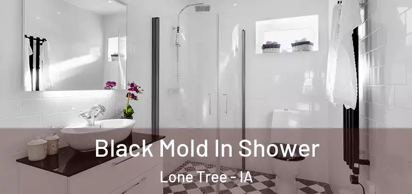  Black Mold In Shower Lone Tree - IA
