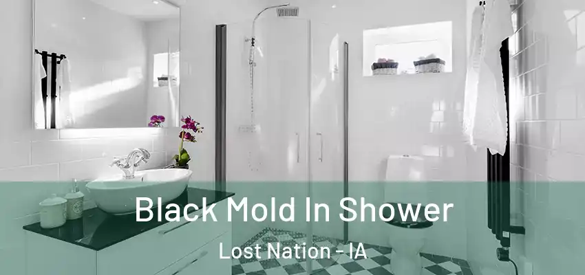  Black Mold In Shower Lost Nation - IA
