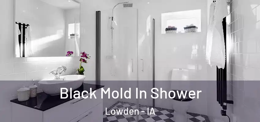  Black Mold In Shower Lowden - IA