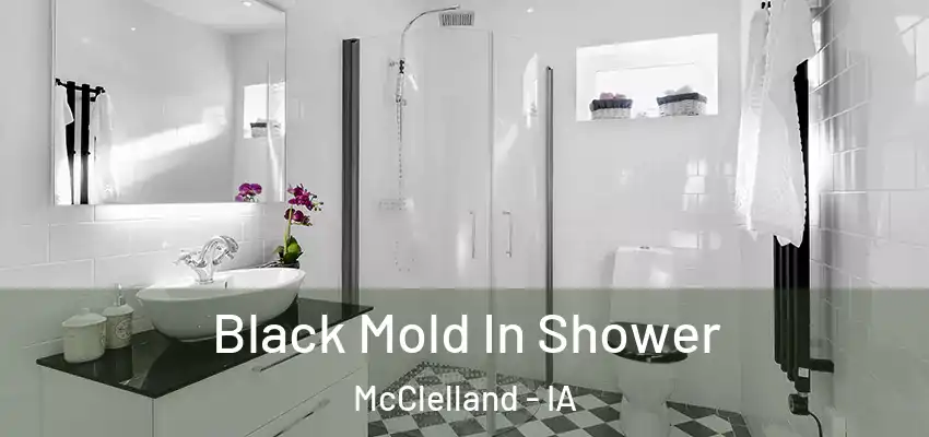 Black Mold In Shower McClelland - IA