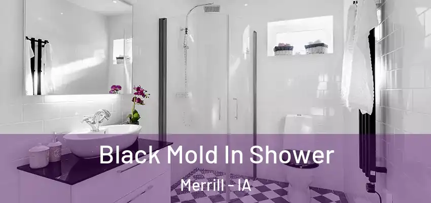  Black Mold In Shower Merrill - IA