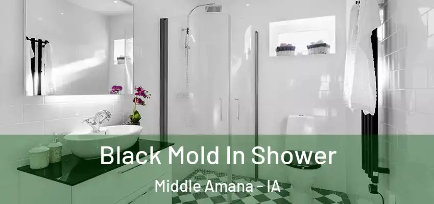  Black Mold In Shower Middle Amana - IA