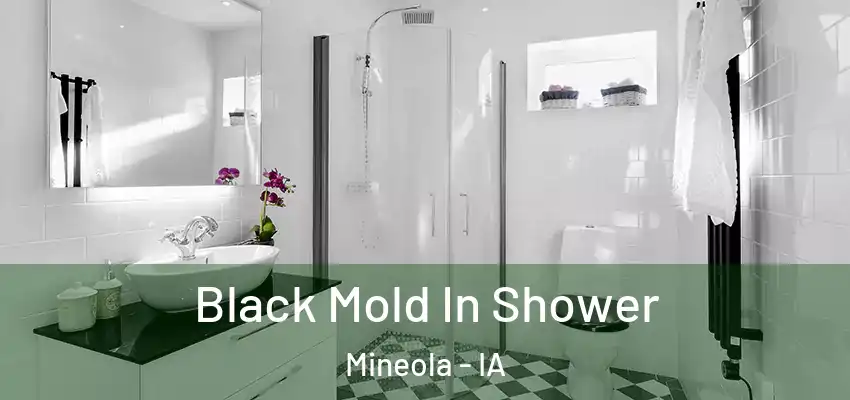  Black Mold In Shower Mineola - IA