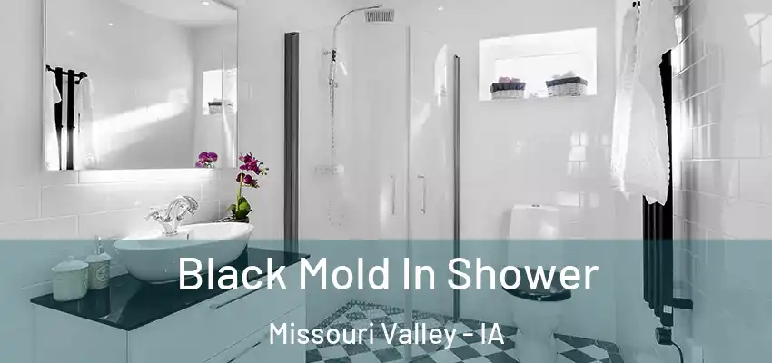 Black Mold In Shower Missouri Valley - IA