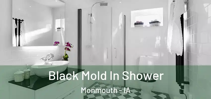 Black Mold In Shower Monmouth - IA