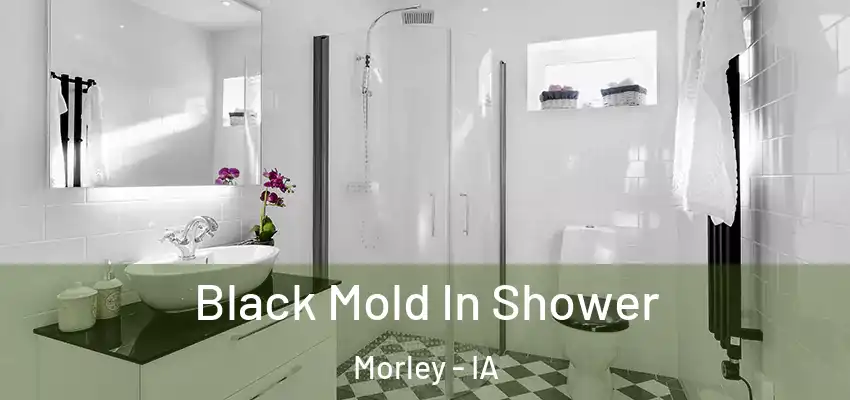 Black Mold In Shower Morley - IA