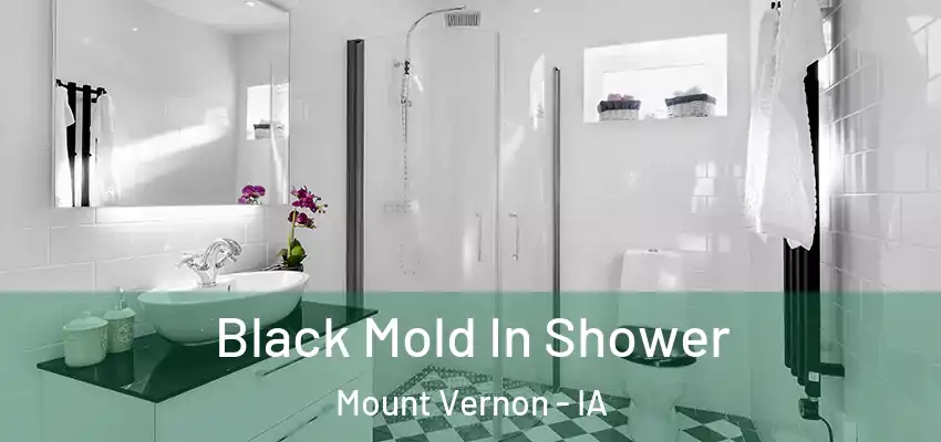 Black Mold In Shower Mount Vernon - IA