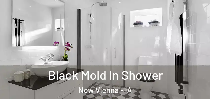  Black Mold In Shower New Vienna - IA