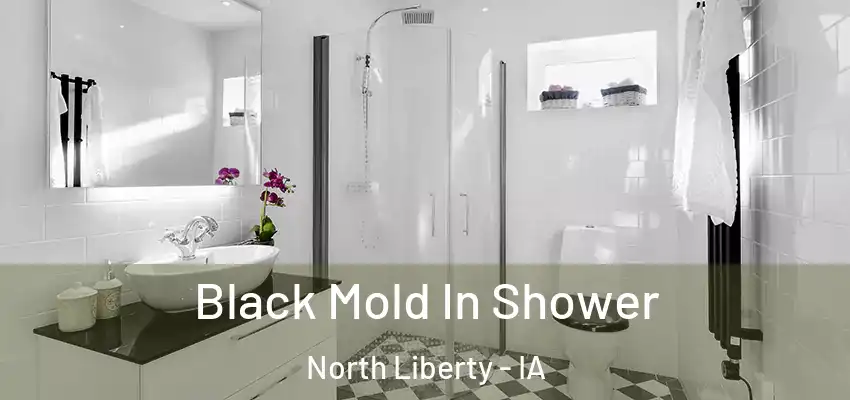 Black Mold In Shower North Liberty - IA