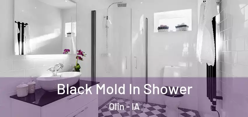 Black Mold In Shower Olin - IA